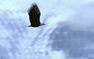 昨夜今晨全球大公司动态 美国与中国就TikTok达成框架协议；百时美施贵宝出售上海施贵宝股权